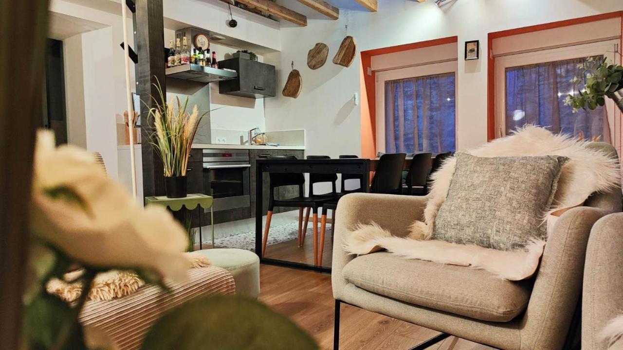 Saint-Cyr  Les Reves D'Eglantine Et D'Augusta Chambres Et Gites المظهر الخارجي الصورة